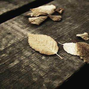 奖励软件大全免费
